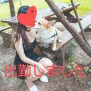 ヒメ日記 2025/04/14 17:00 投稿 渡瀬琴音 プレジデントハウス