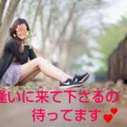 ヒメ日記 2025/04/15 06:30 投稿 渡瀬琴音 プレジデントハウス