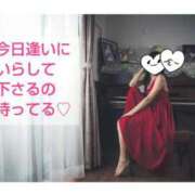 ヒメ日記 2025/04/18 06:31 投稿 渡瀬琴音 プレジデントハウス