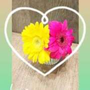 ヒメ日記 2025/04/23 11:45 投稿 渡瀬琴音 プレジデントハウス