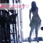 ヒメ日記 2025/04/28 23:55 投稿 渡瀬琴音 プレジデントハウス