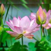 ヒメ日記 2025/05/08 22:33 投稿 渡瀬琴音 プレジデントハウス