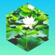 ヒメ日記 2025/05/16 13:45 投稿 渡瀬琴音 プレジデントハウス