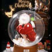 ヒメ日記 2025/12/23 06:30 投稿 渡瀬琴音 プレジデントハウス