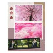 ヒメ日記 2026/03/12 06:30 投稿 渡瀬琴音 プレジデントハウス