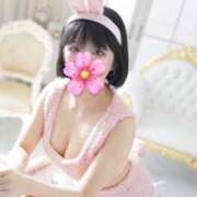 ヒメ日記 2025/04/08 17:32 投稿 天ノ瀬るるか 池袋パラダイス