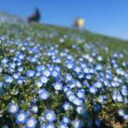 ヒメ日記 2025/04/30 23:49 投稿 天ノ瀬るるか 池袋パラダイス