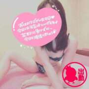 ヒメ日記 2025/03/13 09:06 投稿 東山　ねいる ZERO-i