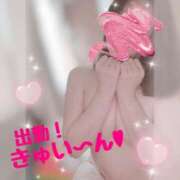 ヒメ日記 2025/03/29 09:46 投稿 東山　ねいる ZERO-i