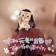 ヒメ日記 2025/04/10 07:46 投稿 東山　ねいる ZERO-i