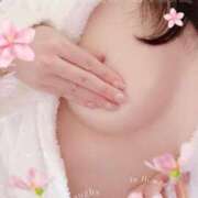 ヒメ日記 2025/04/20 16:16 投稿 東山　ねいる ZERO-i