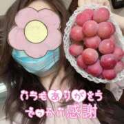 ヒメ日記 2025/04/29 21:56 投稿 東山　ねいる ZERO-i