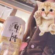 ヒメ日記 2025/05/02 14:26 投稿 東山　ねいる ZERO-i