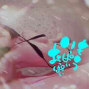 ヒメ日記 2025/06/15 09:46 投稿 東山　ねいる ZERO-i