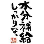 ヒメ日記 2025/07/07 06:36 投稿 東山　ねいる ZERO-i