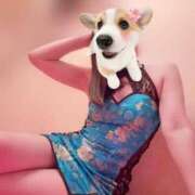 ヒメ日記 2025/07/10 07:36 投稿 東山　ねいる ZERO-i