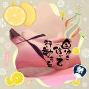 ヒメ日記 2025/07/22 10:06 投稿 東山　ねいる ZERO-i