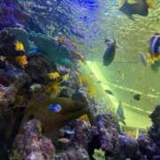 ヒメ日記 2025/07/26 21:48 投稿 東山　ねいる ZERO-i