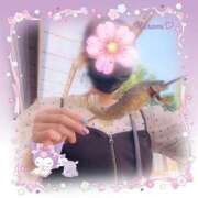 ヒメ日記 2025/07/29 20:06 投稿 東山　ねいる ZERO-i