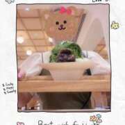 ヒメ日記 2025/08/01 15:26 投稿 東山　ねいる ZERO-i