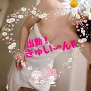 ヒメ日記 2025/08/09 09:46 投稿 東山　ねいる ZERO-i