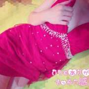 ヒメ日記 2025/08/14 21:46 投稿 東山　ねいる ZERO-i