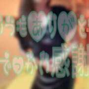 ヒメ日記 2025/12/14 22:06 投稿 東山　ねいる ZERO-i