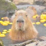 ヒメ日記 2025/12/22 19:46 投稿 東山　ねいる ZERO-i