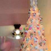 ヒメ日記 2025/12/25 06:46 投稿 東山　ねいる ZERO-i