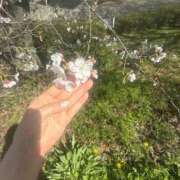 ヒメ日記 2026/03/27 14:33 投稿 東山　ねいる ZERO-i