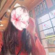 ヒメ日記 2026/03/30 21:06 投稿 東山　ねいる ZERO-i