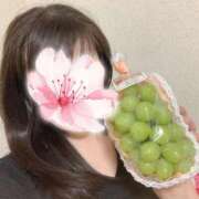 ヒメ日記 2026/03/31 05:26 投稿 東山　ねいる ZERO-i