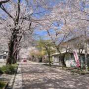 ヒメ日記 2026/04/02 04:46 投稿 東山　ねいる ZERO-i