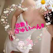 ヒメ日記 2026/05/03 07:16 投稿 東山　ねいる ZERO-i