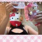 ヒメ日記 2026/06/12 03:46 投稿 東山　ねいる ZERO-i
