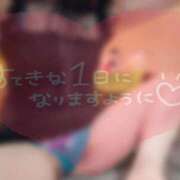 ヒメ日記 2026/06/20 09:53 投稿 東山　ねいる ZERO-i