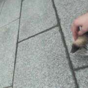 ヒメ日記 2026/09/15 18:46 投稿 東山　ねいる ZERO-i