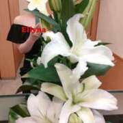 ヒメ日記 2025/05/07 21:33 投稿 牧野 えりな HANA-okinawa-