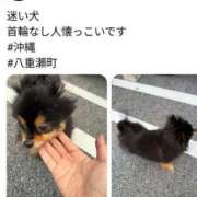 ヒメ日記 2026/05/21 23:36 投稿 牧野 えりな HANA-okinawa-