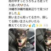 ヒメ日記 2026/06/15 00:03 投稿 牧野 えりな HANA-okinawa-