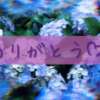 ゆめか 諭吉で2度ヌキ！（新橋/デリヘル）