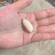 ヒメ日記 2026/03/25 14:56 投稿 めい 西川口おかあさん