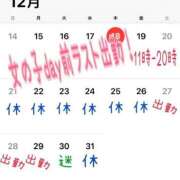 ヒメ日記 2025/12/18 15:36 投稿 めい 大宮おかあさん