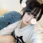 ヒメ日記 2025/06/20 09:47 投稿 せな MARIA女学館（マリアジョガッカン）