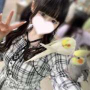 ヒメ日記 2025/08/29 16:16 投稿 せな MARIA女学館（マリアジョガッカン）