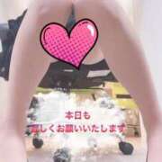 ヒメ日記 2025/04/23 10:03 投稿 杏里(あんり) PLUS梅田店