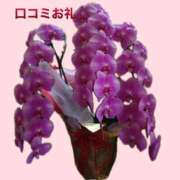 ヒメ日記 2025/05/04 09:42 投稿 杏里(あんり) PLUS梅田店