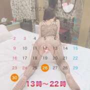 ヒメ日記 2025/11/21 16:42 投稿 杏里(あんり) PLUS梅田店