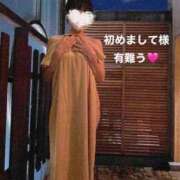 ヒメ日記 2026/02/07 11:20 投稿 杏里(あんり) PLUS梅田店