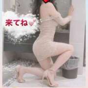 ヒメ日記 2026/02/15 11:12 投稿 杏里(あんり) PLUS梅田店